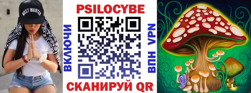 Псилоцибиновые грибы мухоморы Геленджик